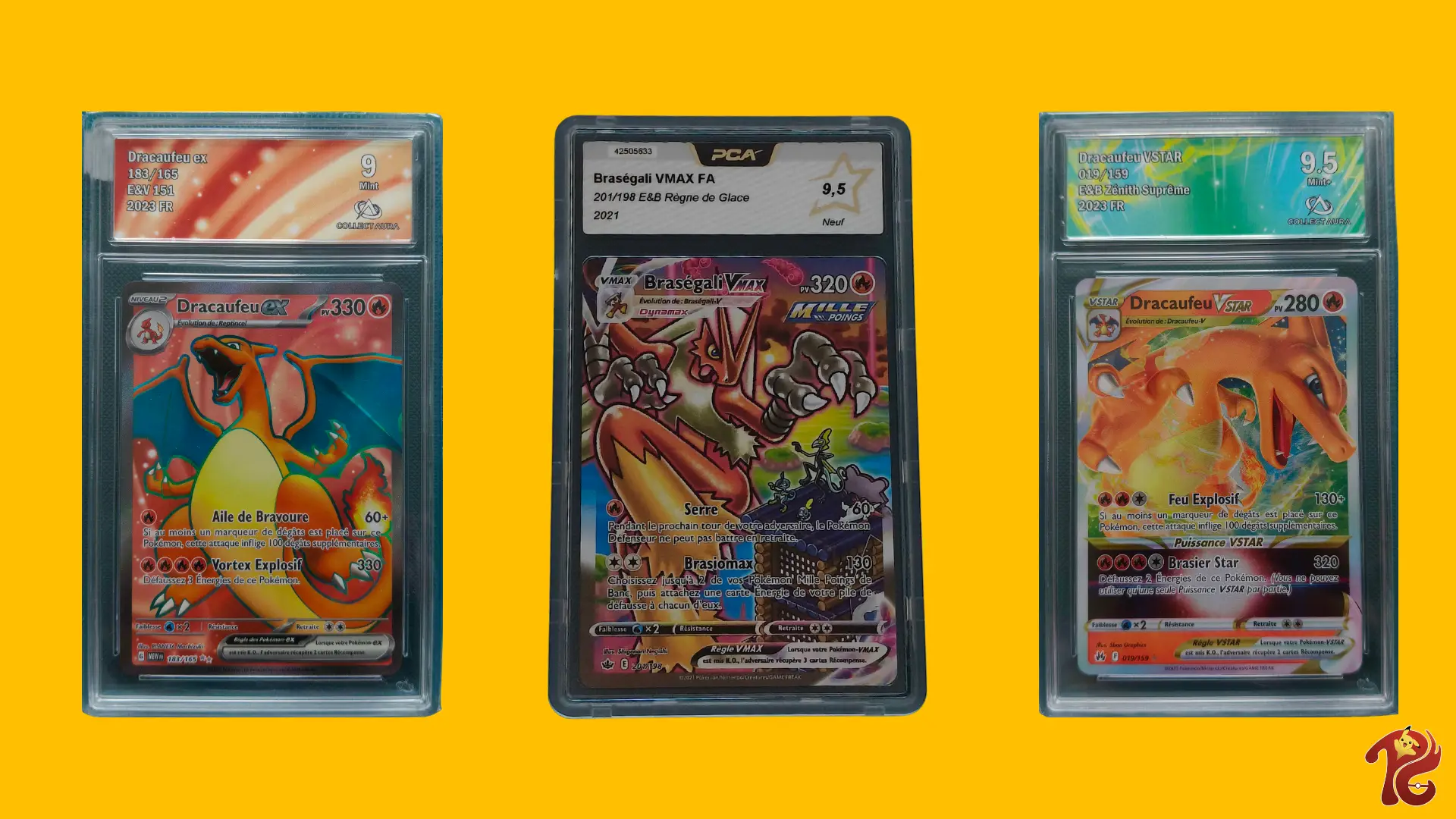 fin gros classeur (1)